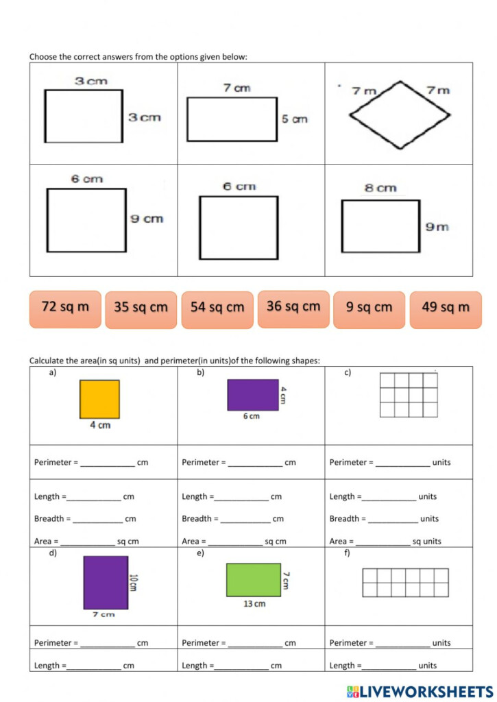 Fractions Area Perimeter Worksheet