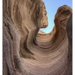Nature Organic Shapes Elements Of Art