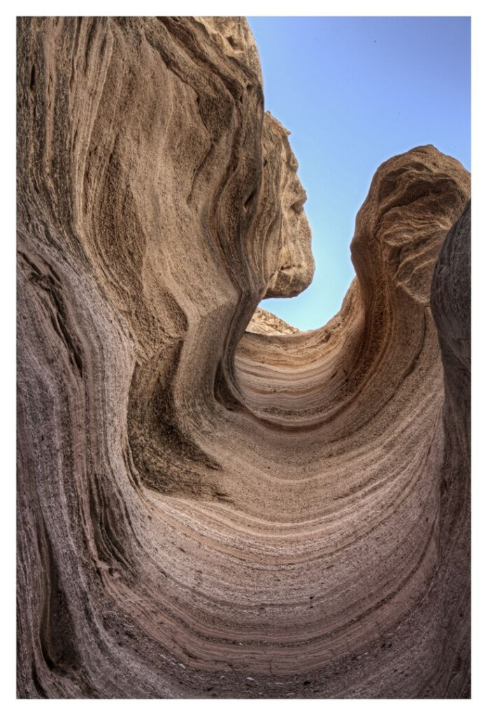 Nature Organic Shapes Elements Of Art