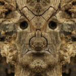 Pareidolia Muddy Colors