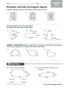 Area Of Irregular Shapes Worksheet 11 Inspirational Area Of Polygon ...